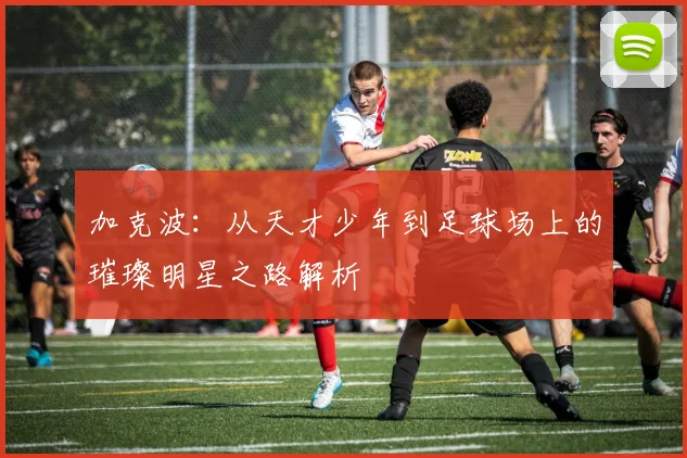 加克波：从天才少年到足球场上的璀璨明星之路解析