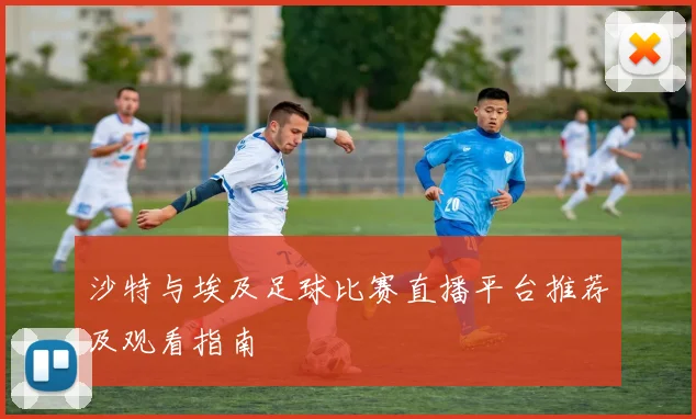 沙特与埃及足球比赛直播平台推荐及观看指南