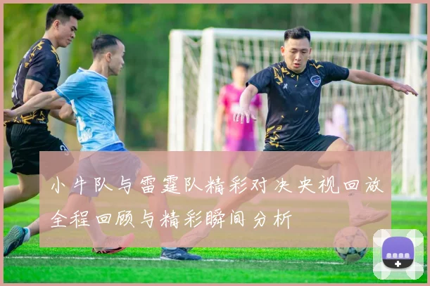 小牛队与雷霆队精彩对决央视回放全程回顾与精彩瞬间分析