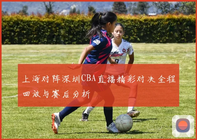 上海对阵深圳CBA直播精彩对决全程回放与赛后分析