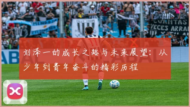 刘泽一的成长之路与未来展望：从少年到青年奋斗的精彩历程