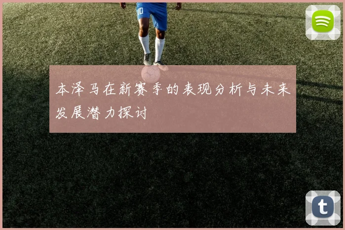本泽马在新赛季的表现分析与未来发展潜力探讨