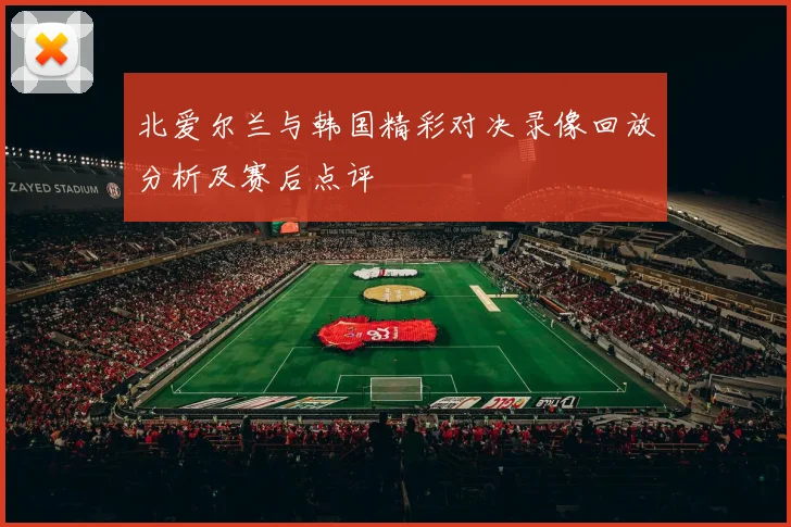 北爱尔兰与韩国精彩对决录像回放分析及赛后点评