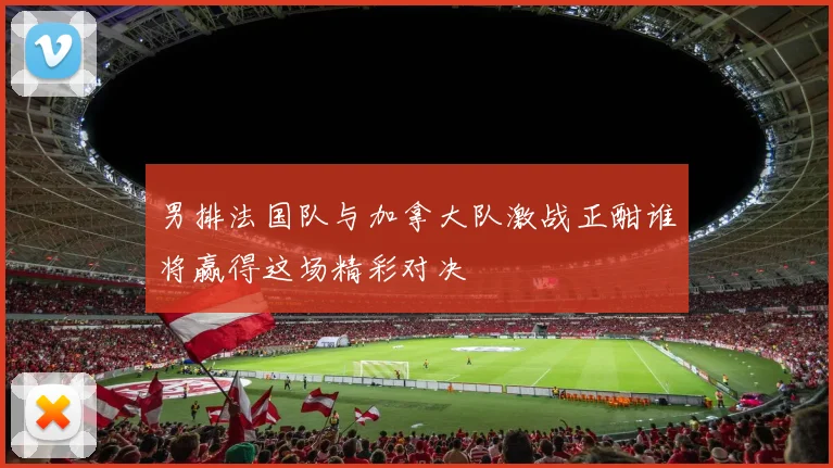 男排法国队与加拿大队激战正酣谁将赢得这场精彩对决