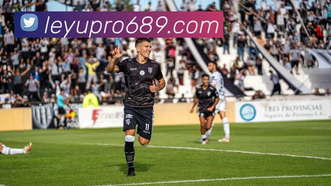 乐鱼体育平台生态图